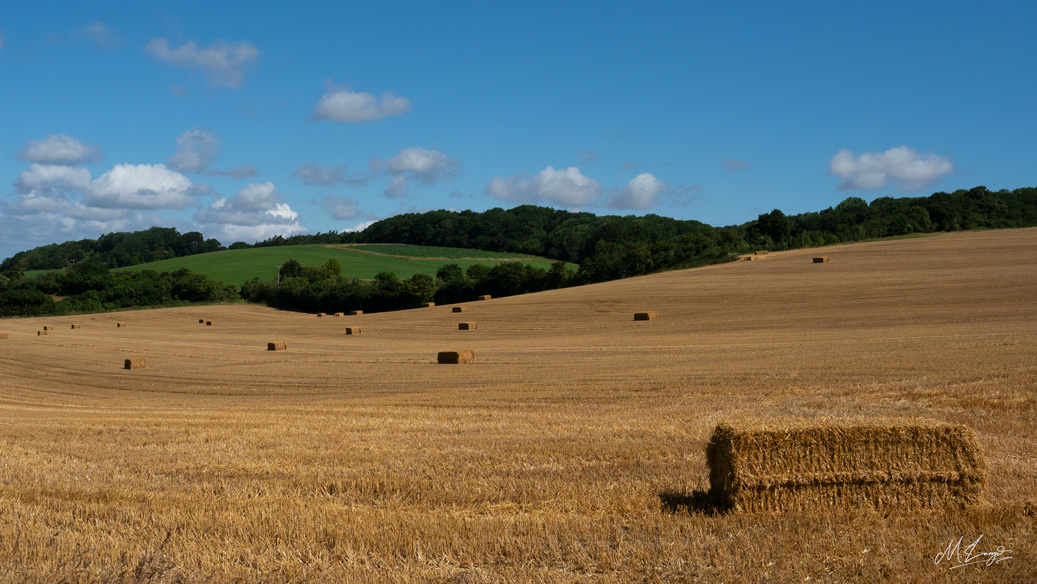 Farmers Dream