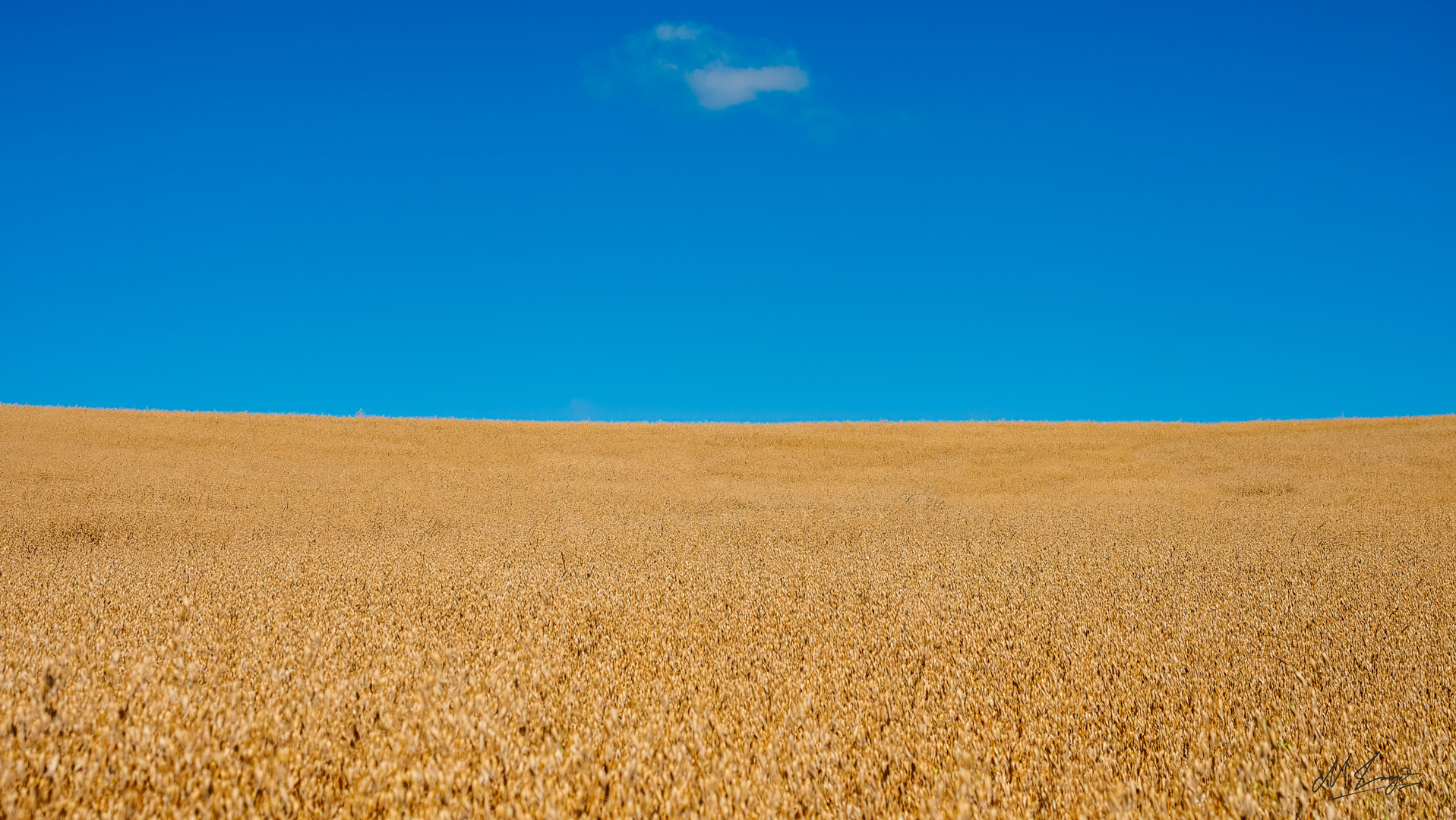 Beneath the Blue Silence