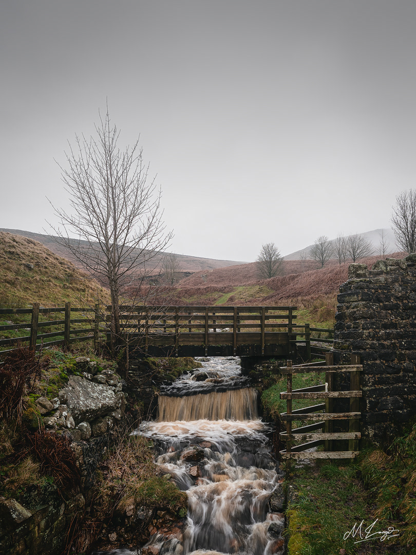 Winter’s Gentle Flow