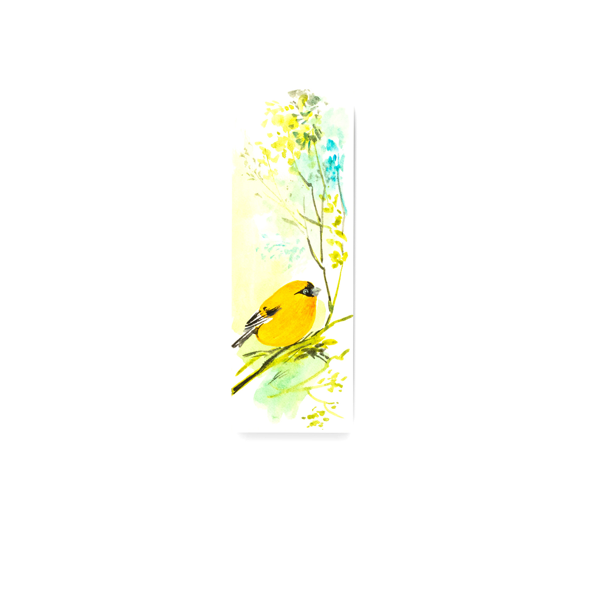 Orange Bullfinch