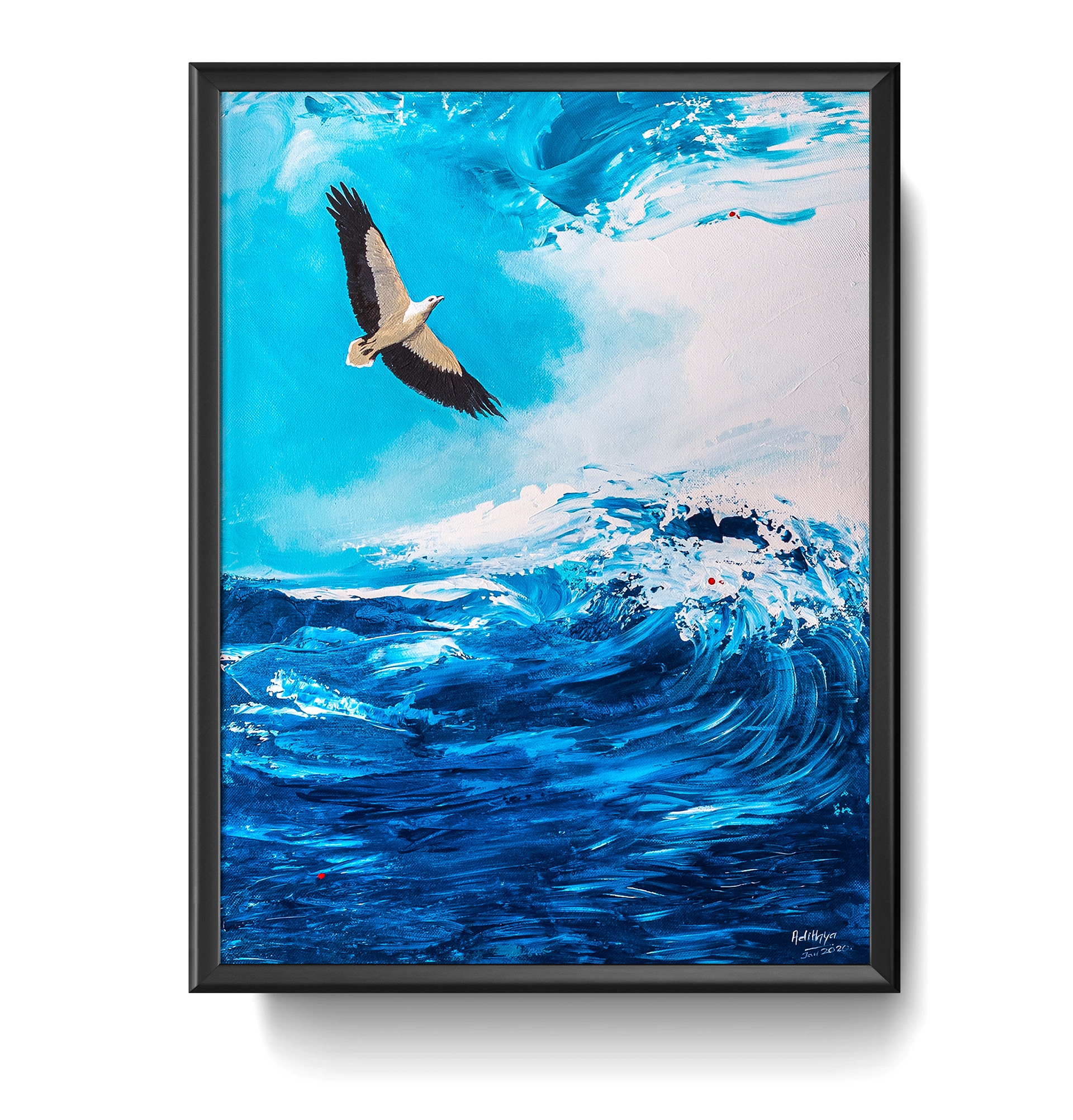 WHITE-BELLIED SEA EAGLE