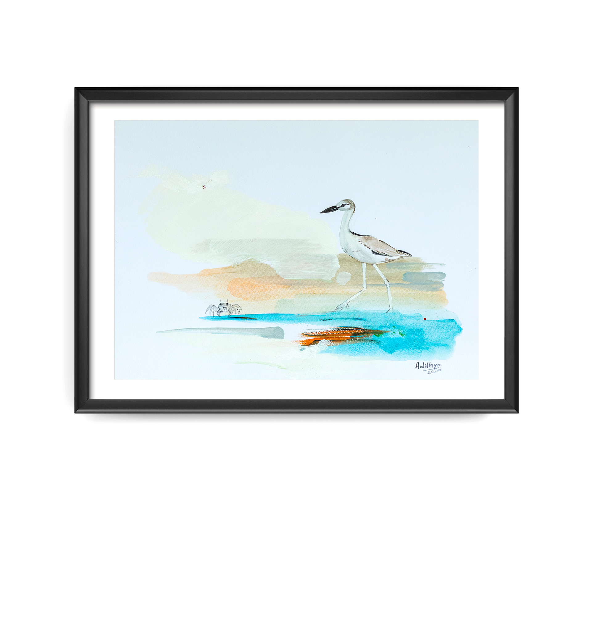 Crab Plover