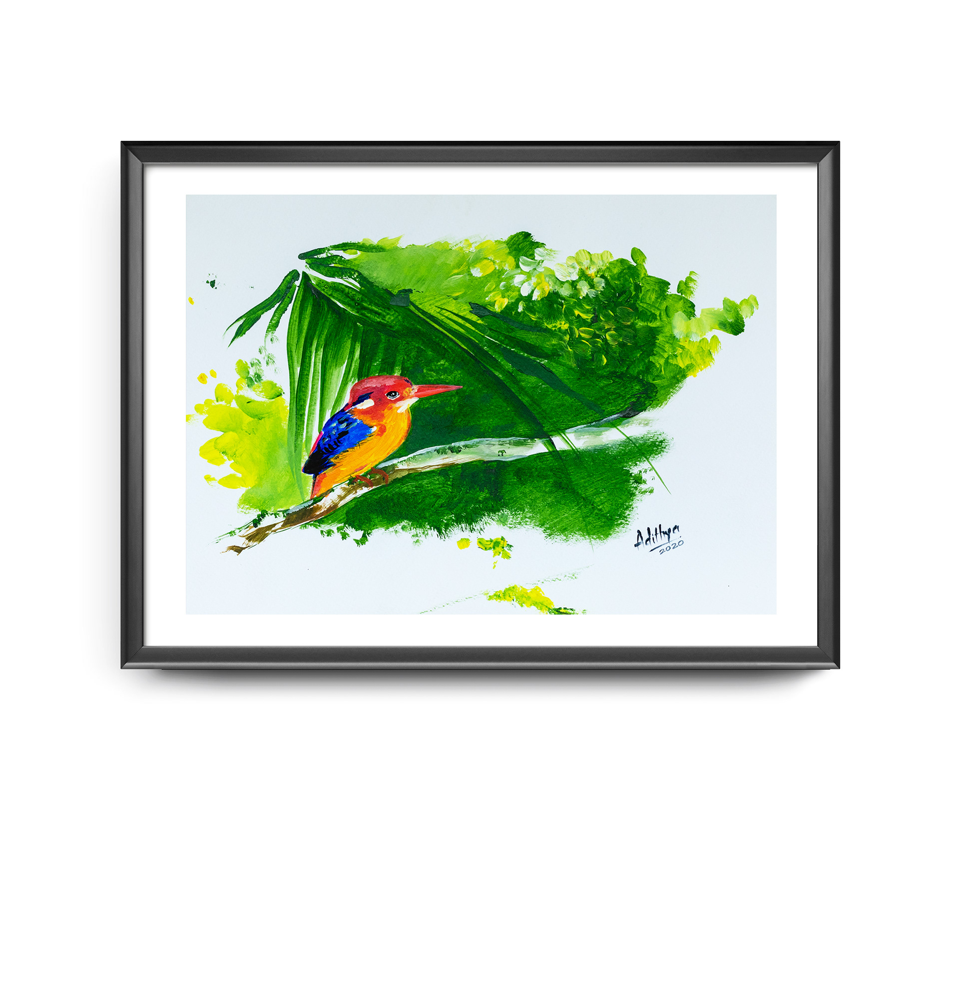 Oriental dwarf Kingfisher