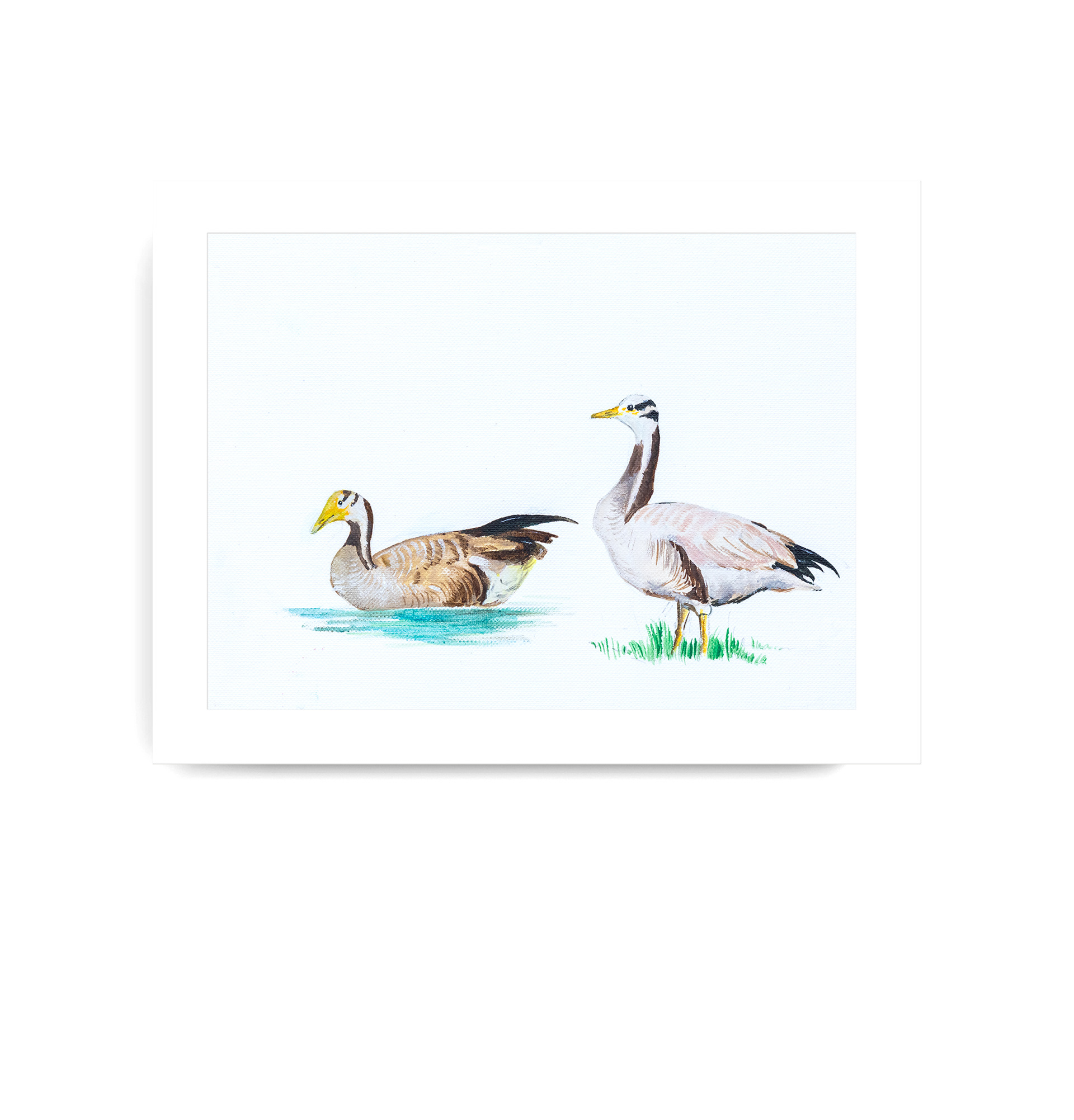 Bar-headed Goose
