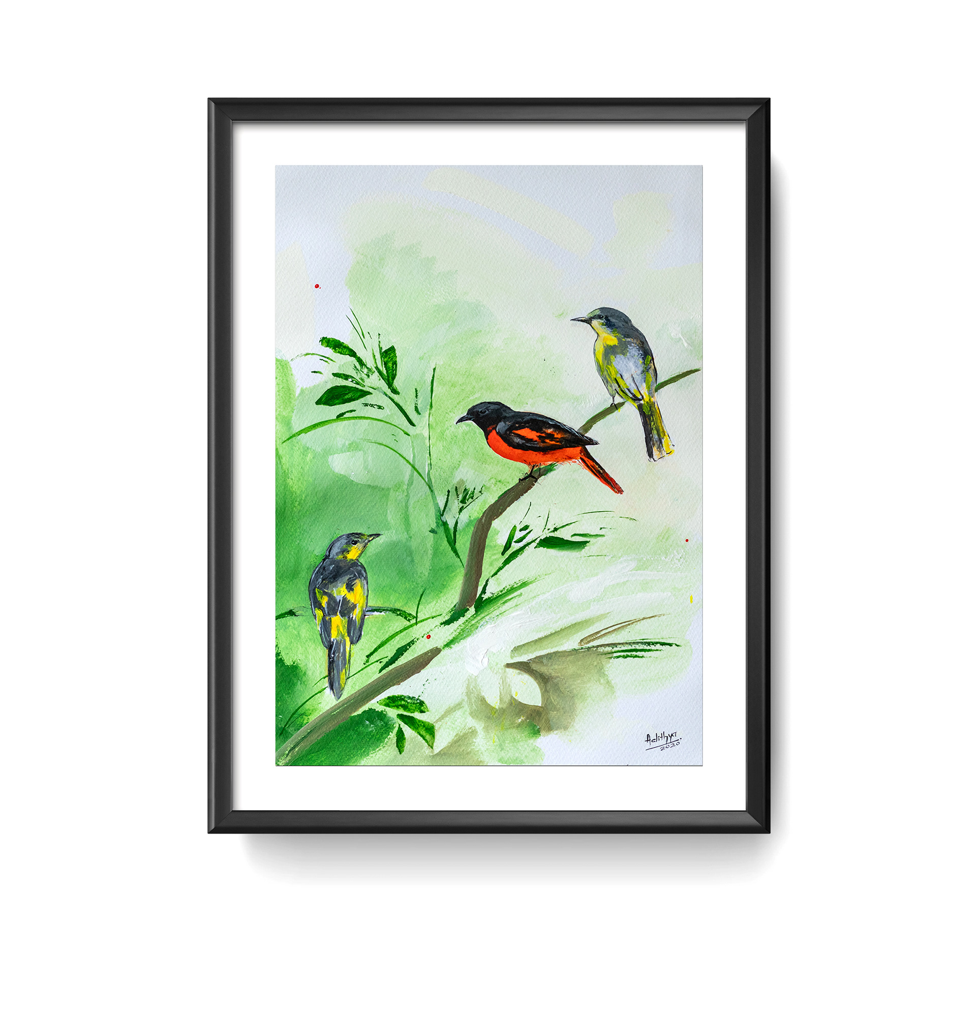 Orange Minivet