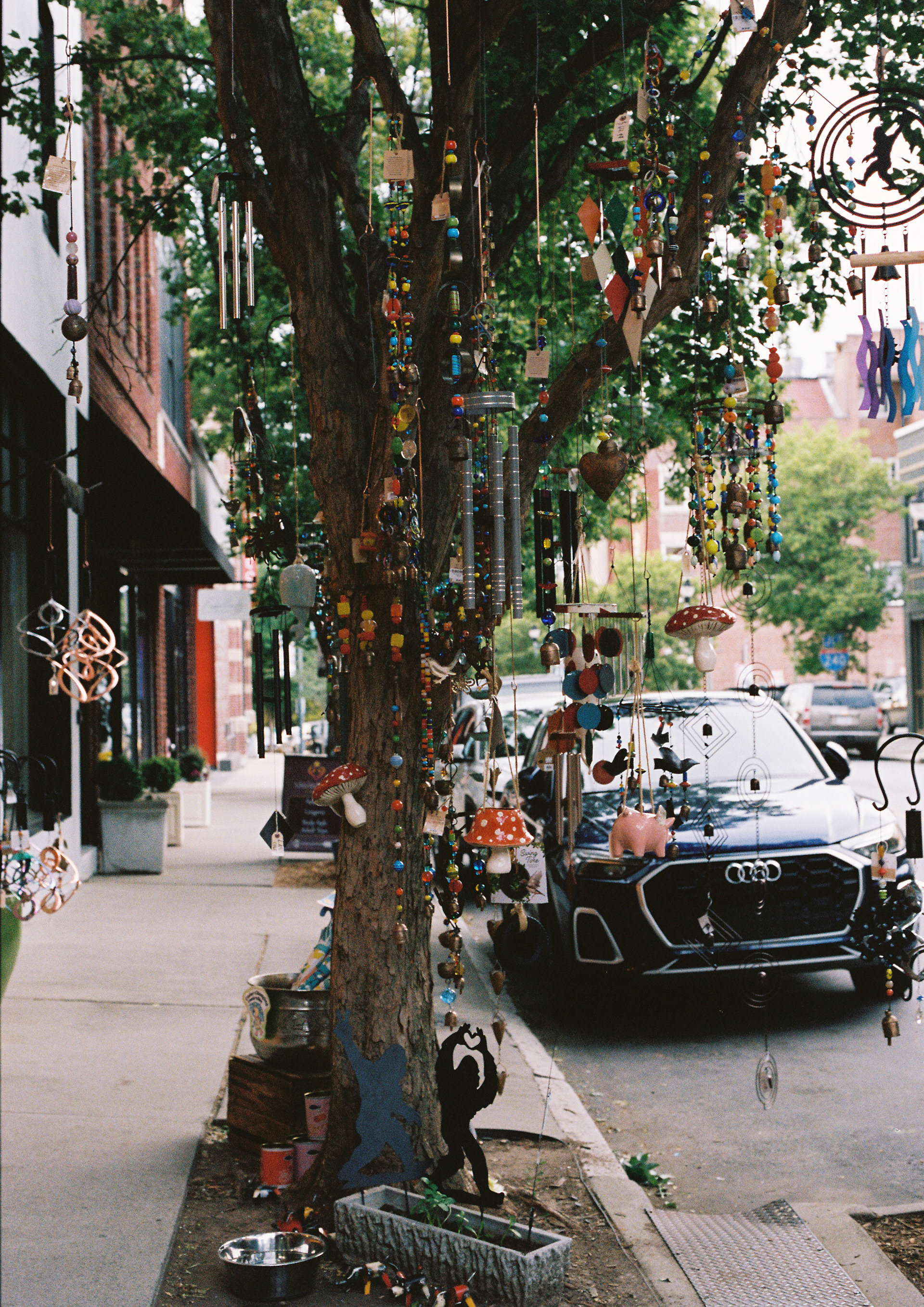 Ashville, North Carolina | Portra 400