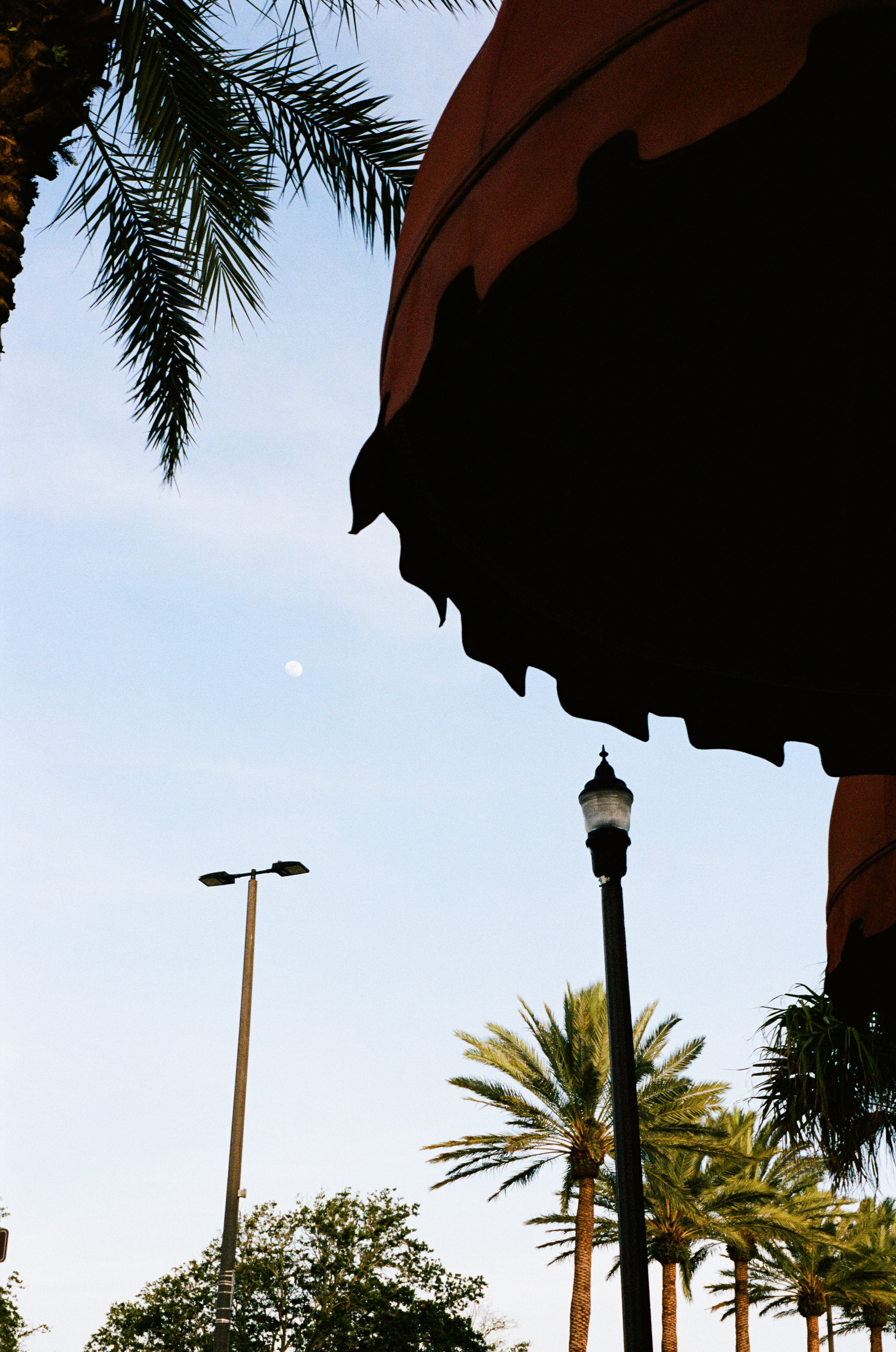 Beach Street | Daytona Beach, FL | Portra 400