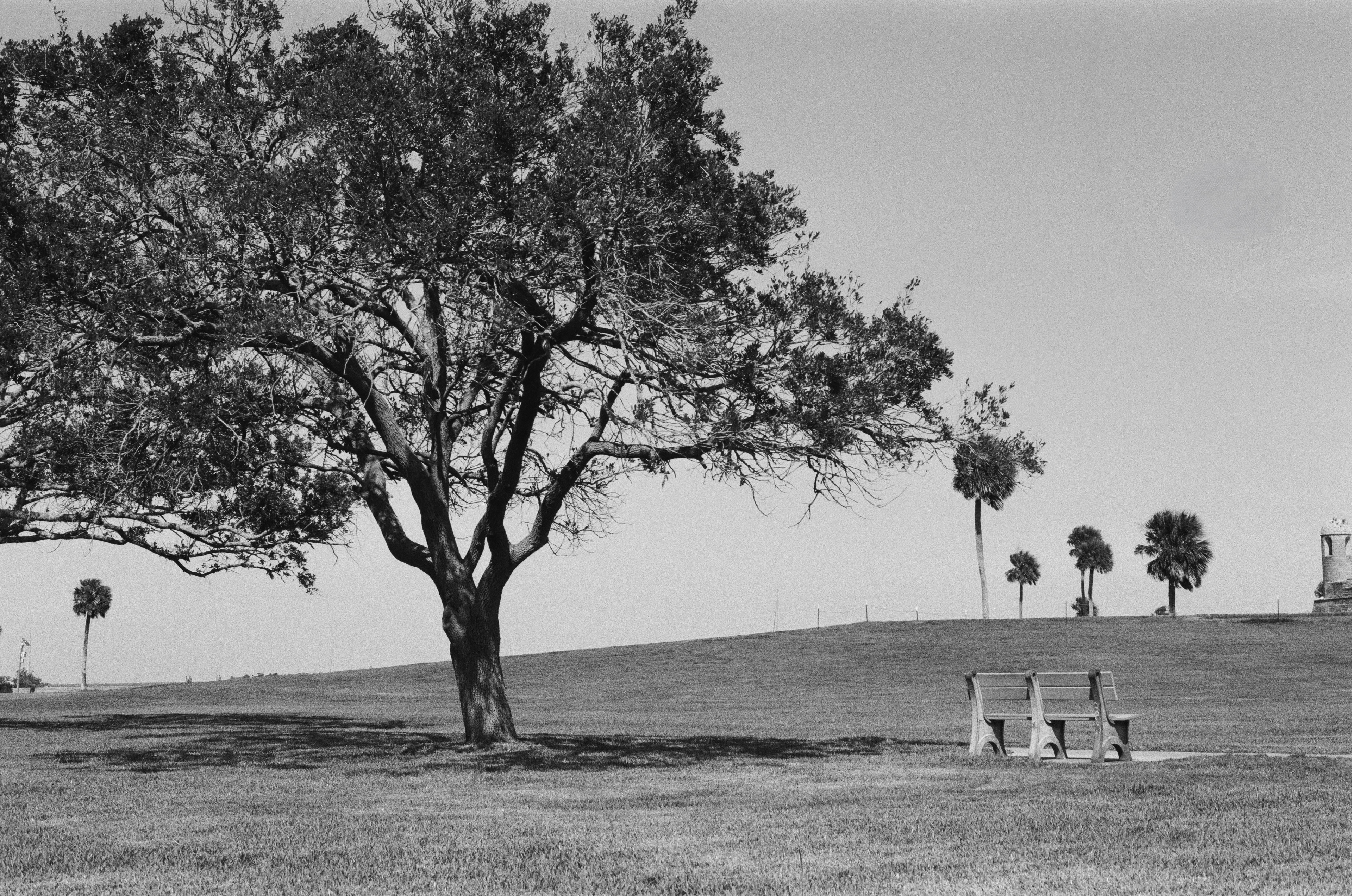 St. Augustine, FL | Ilford HP5 Plus