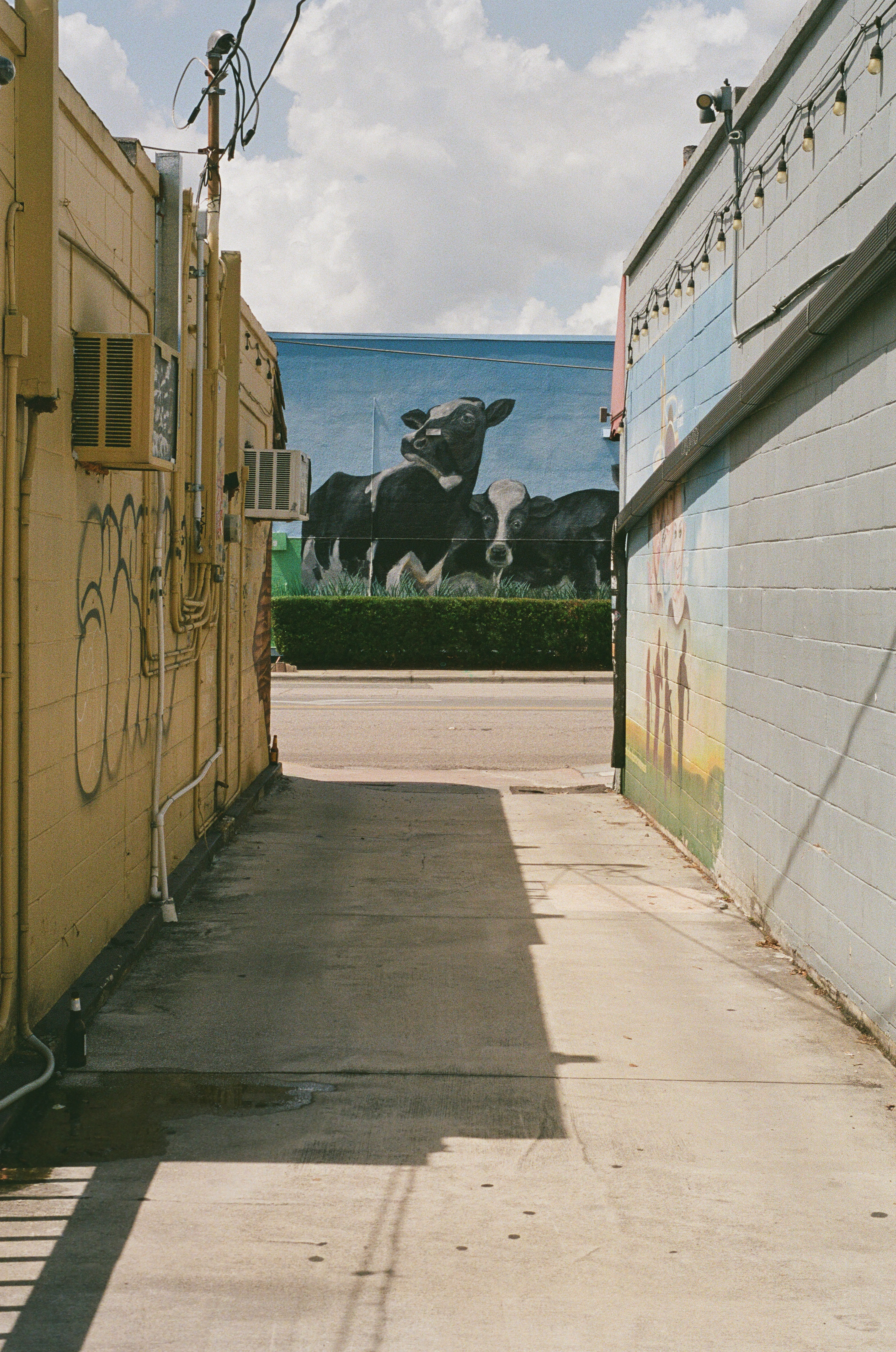 Milk District | Orlando, FL | Fuji 400