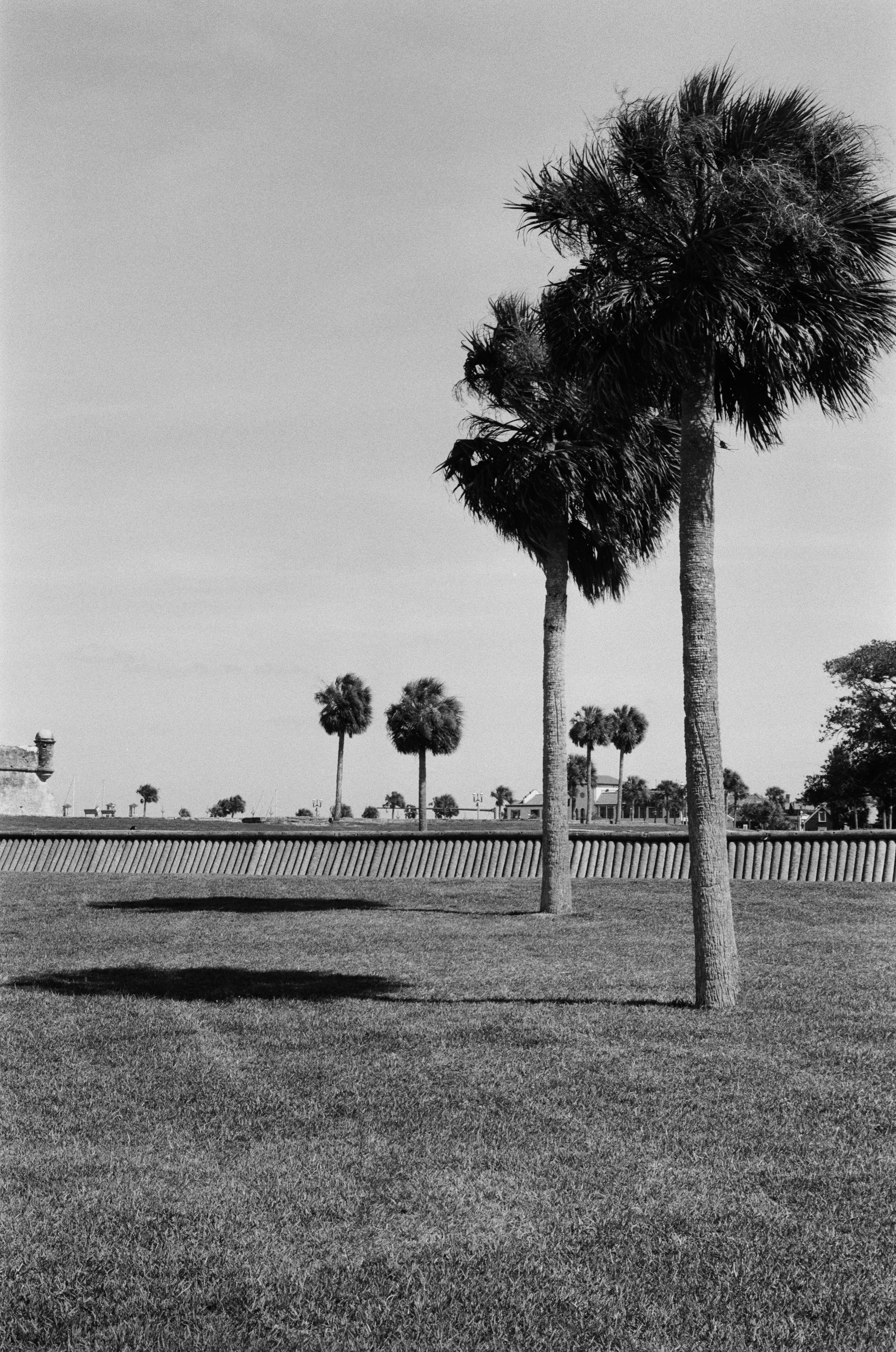 St. Augustine, FL | Ilford HP5 Plus