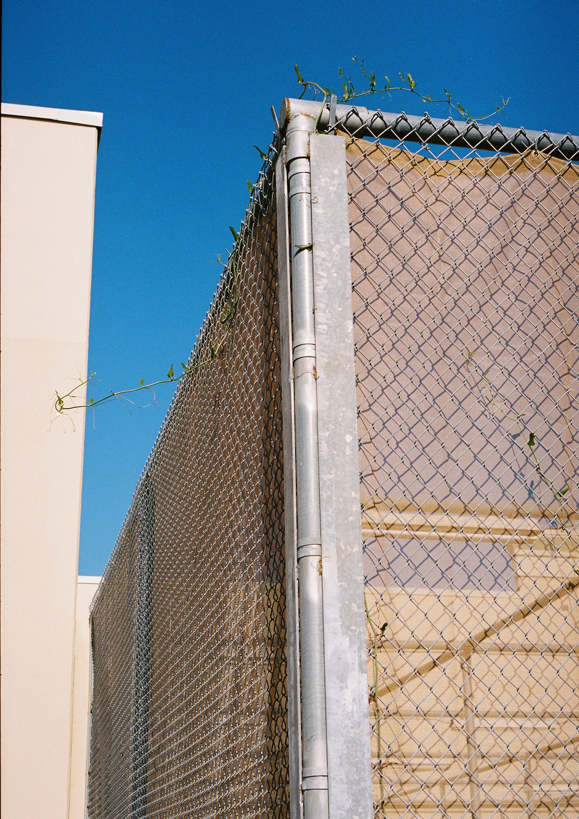 Palm Coast, FL | Fuji 400