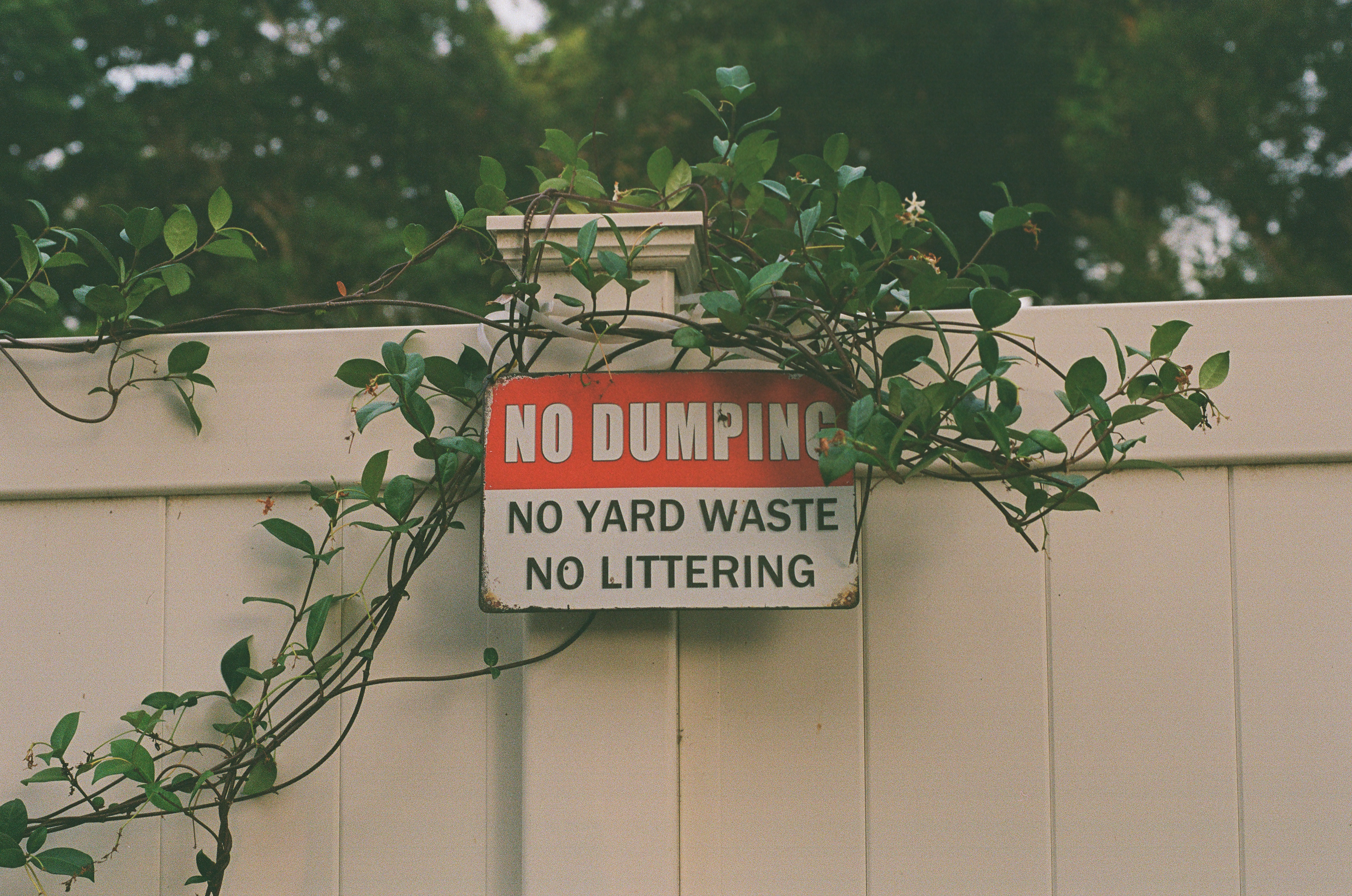 Ormond Beach, Fl | Fuji 400
