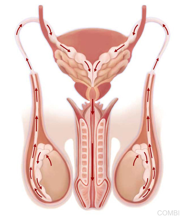 Serie Huellas Salud y Adolescencia 4 - Editorial Estrada (Argentina)