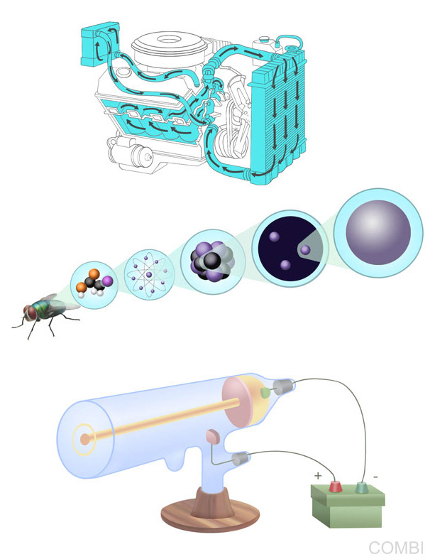 Puerto a diario Ciencias Naturales CABA / Buenos Aires / Nación - Grupo Macmillan Puerto de Palos (Argentina