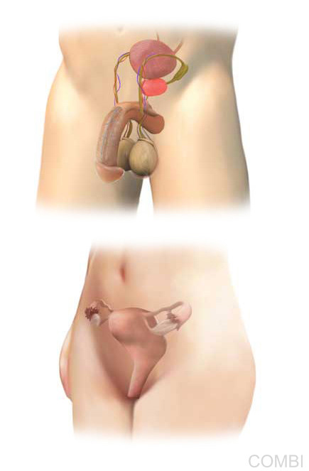 Serie GPS Ciencias Naturales -   Grupo Macmillan Puerto de Palos (Argentina)