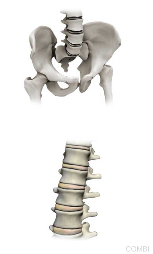 Serie GPS Ciencias Naturales -   Grupo Macmillan Puerto de Palos (Argentina)
