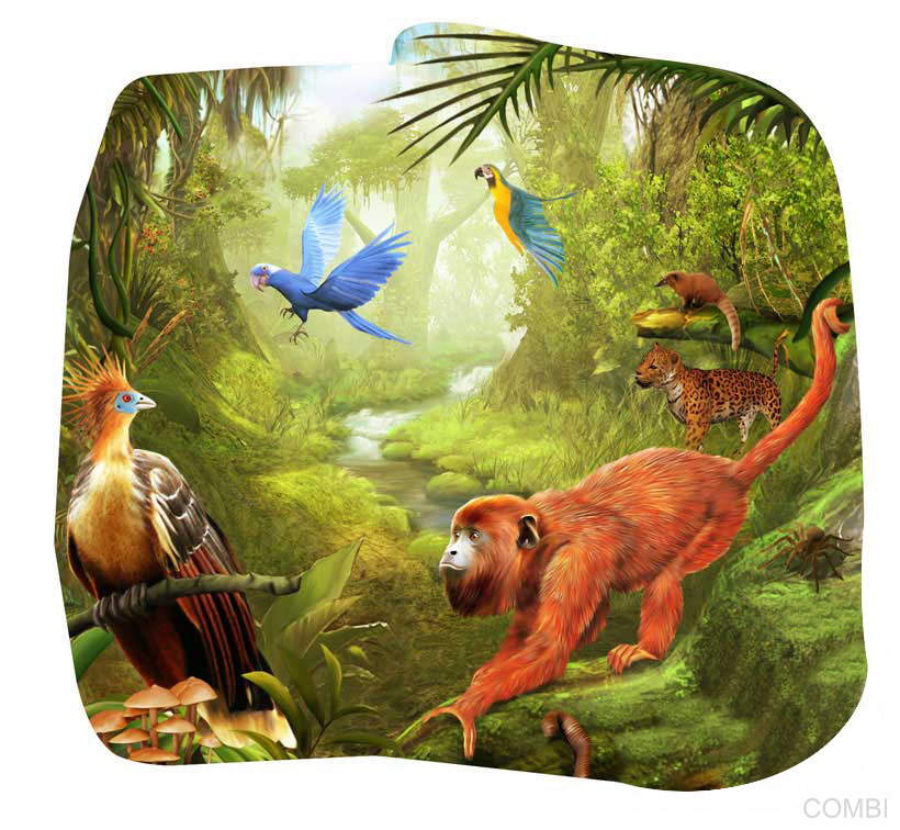 Serie GPS Ciencias Naturales -   Grupo Macmillan Puerto de Palos (Argentina)