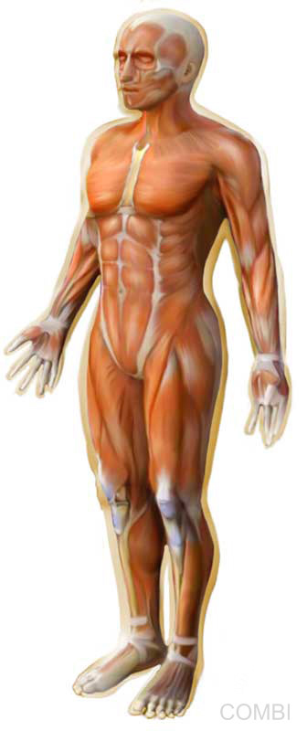 Serie GPS Ciencias Naturales -   Grupo Macmillan Puerto de Palos (Argentina)