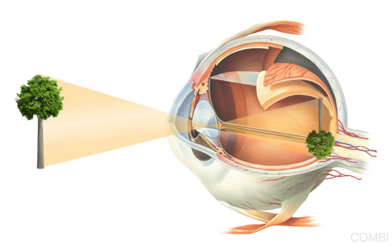 Serie Activados Ciencias Naturales - Grupo Macmillan Puerto de Palos (Argentina)