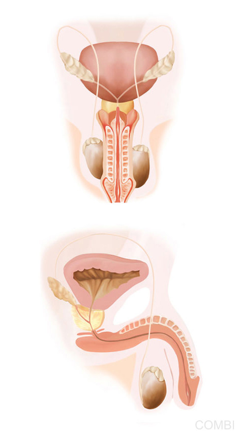 Puerto a diario Ciencias Naturales CABA / Buenos Aires / Nación - Grupo Macmillan Puerto de Palos (Argentina