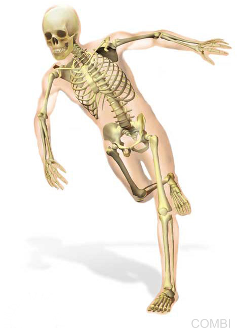 Serie GPS Ciencias Naturales -   Grupo Macmillan Puerto de Palos (Argentina)