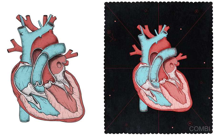 Ciencias Naturales I / Serie Convergente - Edelvivies (Argentina)