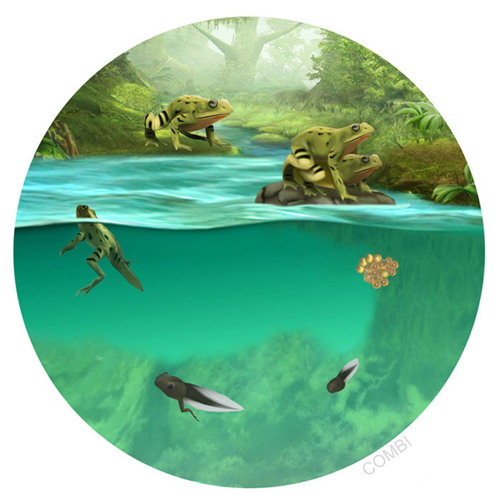 Serie GPS Ciencias Naturales -   Grupo Macmillan Puerto de Palos (Argentina)