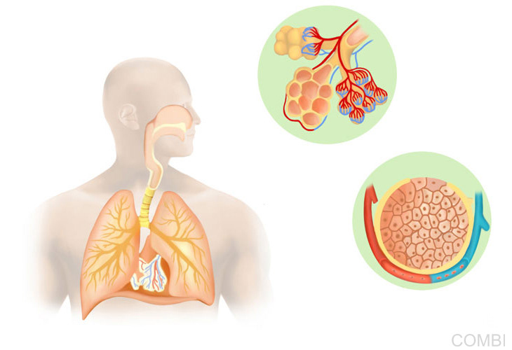 Serie Puerto a diario Ciencias Naturales - Grupo Macmillan Puerto de Palos (Argentina)