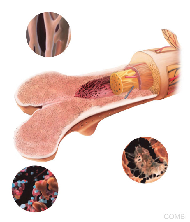 Serie Activados Ciencias Naturales - Grupo Macmillan Puerto de Palos (Argentina)