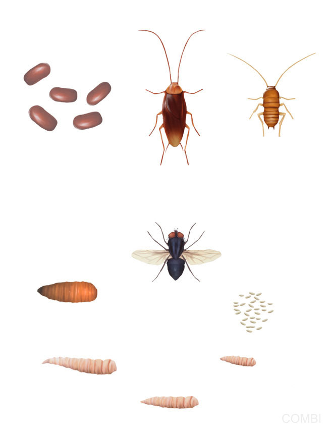 Puerto a diario Ciencias Naturales CABA / Buenos Aires / Nación - Grupo Macmillan Puerto de Palos (Argentina