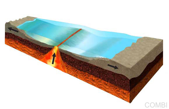 Serie GPS Ciencias Naturales -   Grupo Macmillan Puerto de Palos (Argentina)
