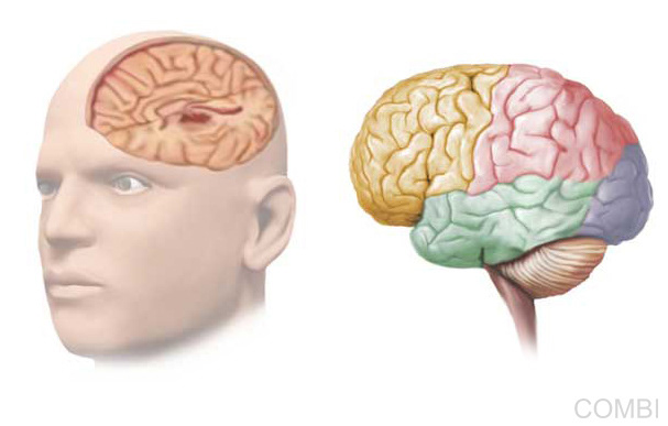 Serie GPS Ciencias Naturales -   Grupo Macmillan Puerto de Palos (Argentina)