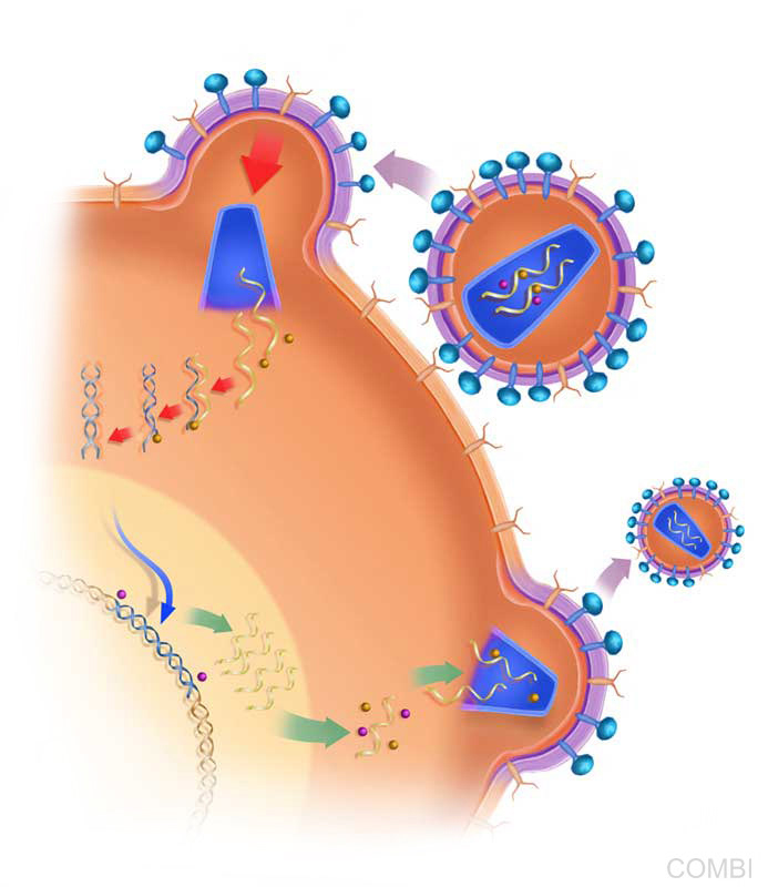 Serie Huellas Salud y Adolescencia 4 - Editorial Estrada (Argentina)