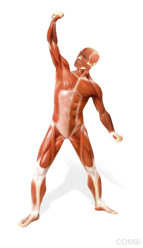 Serie Activados Ciencias Naturales - Grupo Macmillan Puerto de Palos (Argentina)