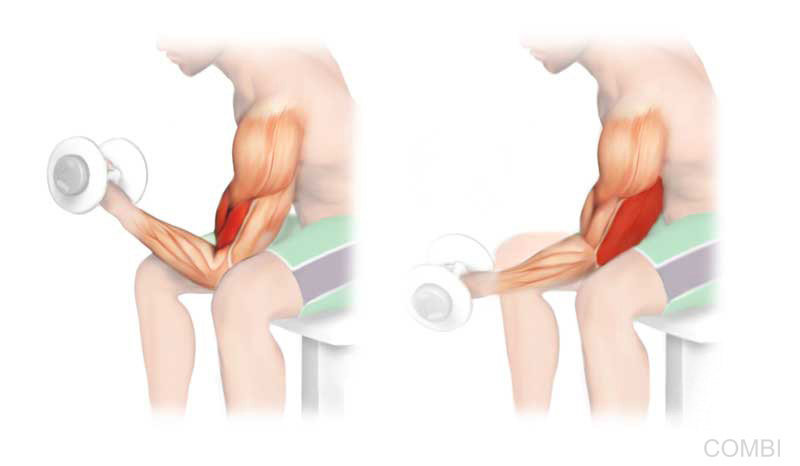 Serie GPS Ciencias Naturales -   Grupo Macmillan Puerto de Palos (Argentina)