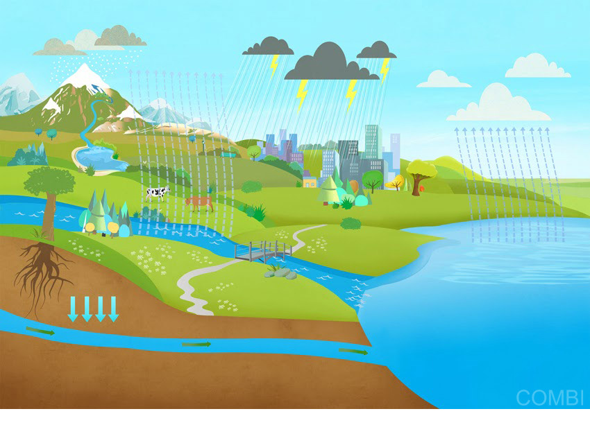 Ciclo del agua - Grupo Macmillan Puerto de Palos (Argentina)