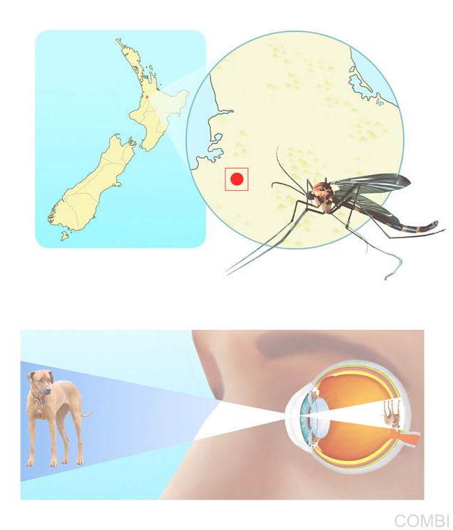 Puerto a diario Ciencias Naturales CABA / Buenos Aires / Nación - Grupo Macmillan Puerto de Palos (Argentina