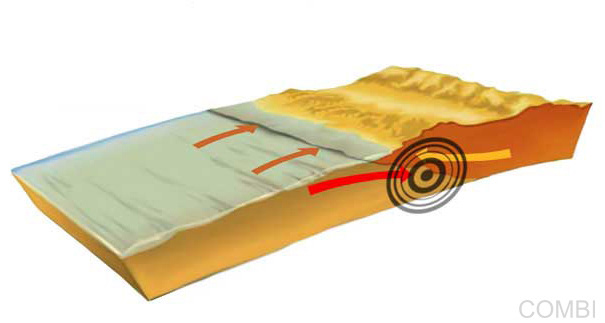 Serie GPS Ciencias Naturales -   Grupo Macmillan Puerto de Palos (Argentina)