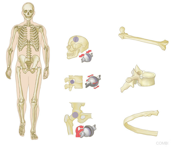 Serie Más que Más Ciencias Naturales - Edelvivies (Argentina)