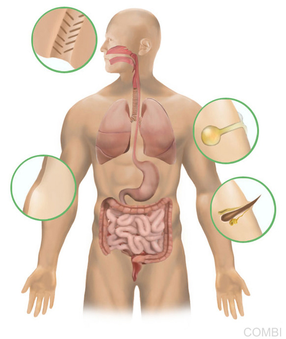 Serie Puerto a diario Ciencias Naturales - Grupo Macmillan Puerto de Palos (Argentina)