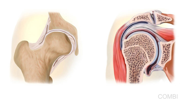 Serie Puerto a diario Ciencias Naturales - Grupo Macmillan Puerto de Palos (Argentina)