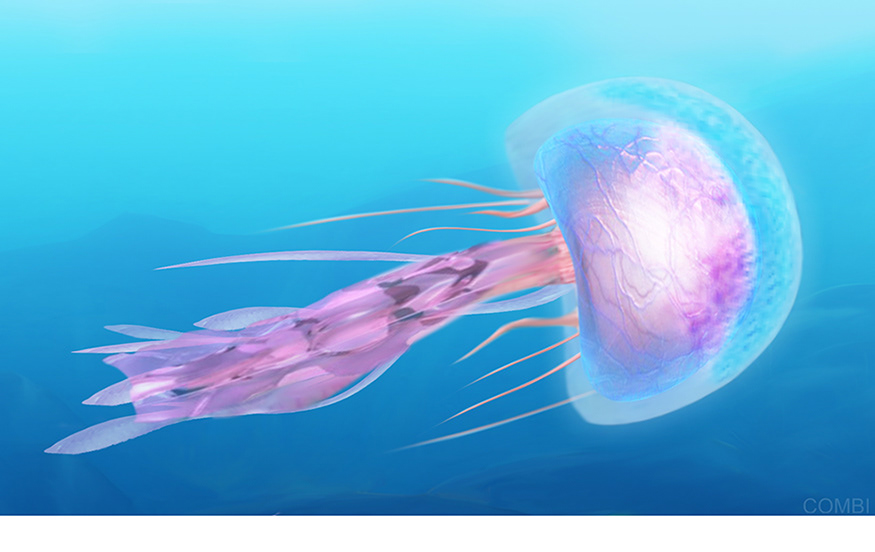 Serie GPS Ciencias Naturales -   Grupo Macmillan Puerto de Palos (Argentina)