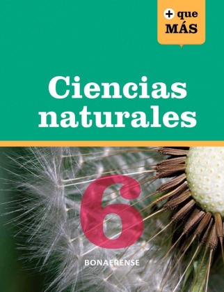 Edelvivies (Argentina)