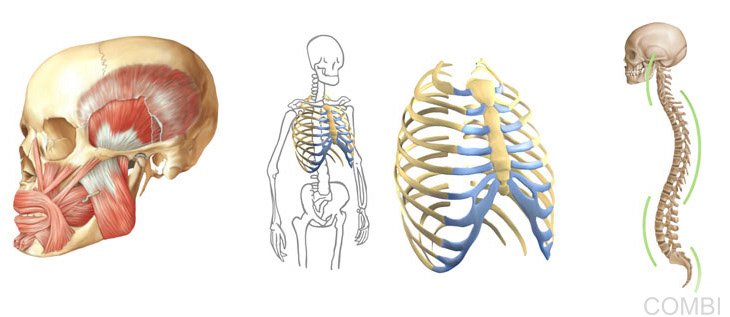 Serie Puerto a diario Ciencias Naturales - Grupo Macmillan Puerto de Palos (Argentina)