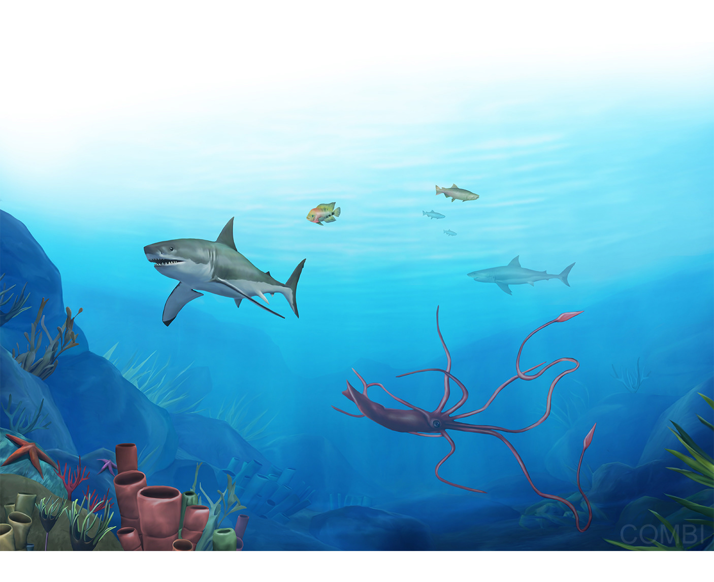 Serie GPS Ciencias Naturales -   Grupo Macmillan Puerto de Palos (Argentina)