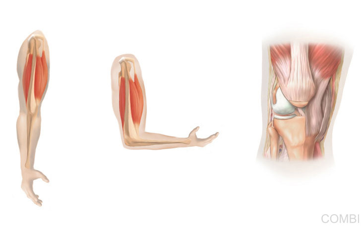 Serie Activados Ciencias Naturales - Grupo Macmillan Puerto de Palos (Argentina)