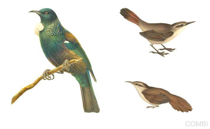 Serie GPS Carpeta de Actividades - Grupo Macmillan Puerto de Palos (Argentina)