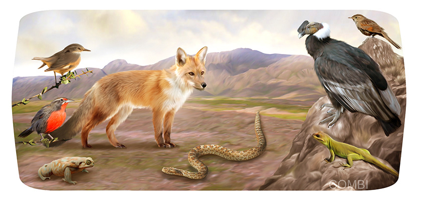 Áreas Integradas 2 - Grupo Macmillan Puerto de Palos (Argentina)