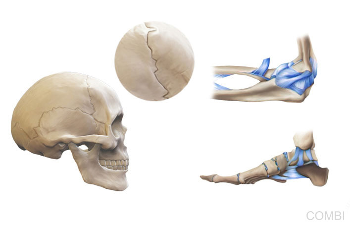 Serie Activados Ciencias Naturales - Grupo Macmillan Puerto de Palos (Argentina)