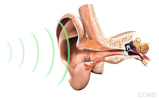 Serie GPS Ciencias Naturales -   Grupo Macmillan Puerto de Palos (Argentina)
